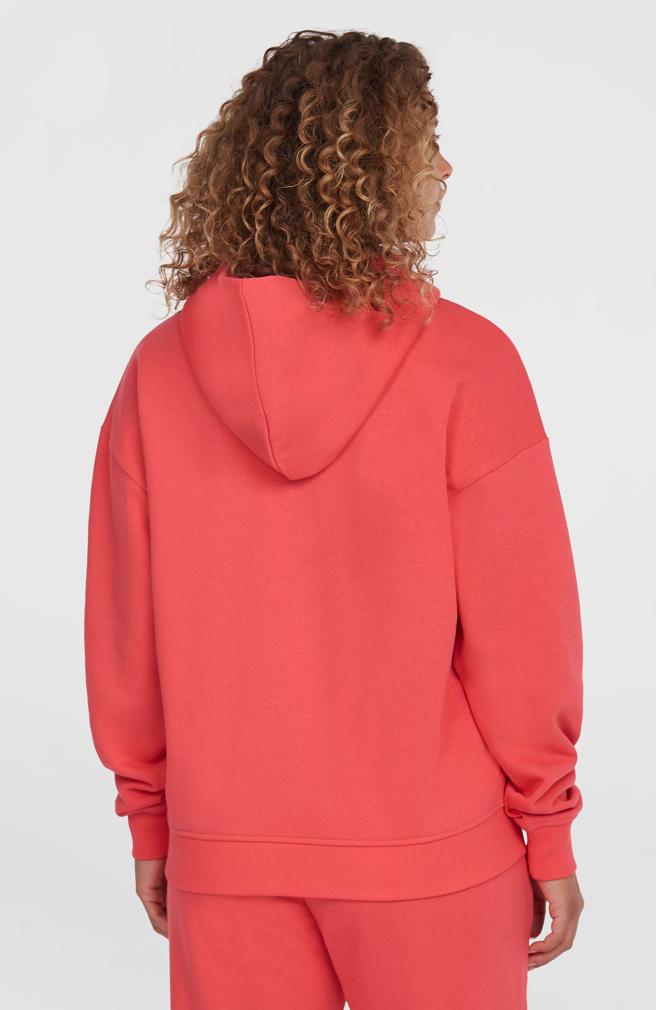 The Future Surf Society Hoodie - Froly