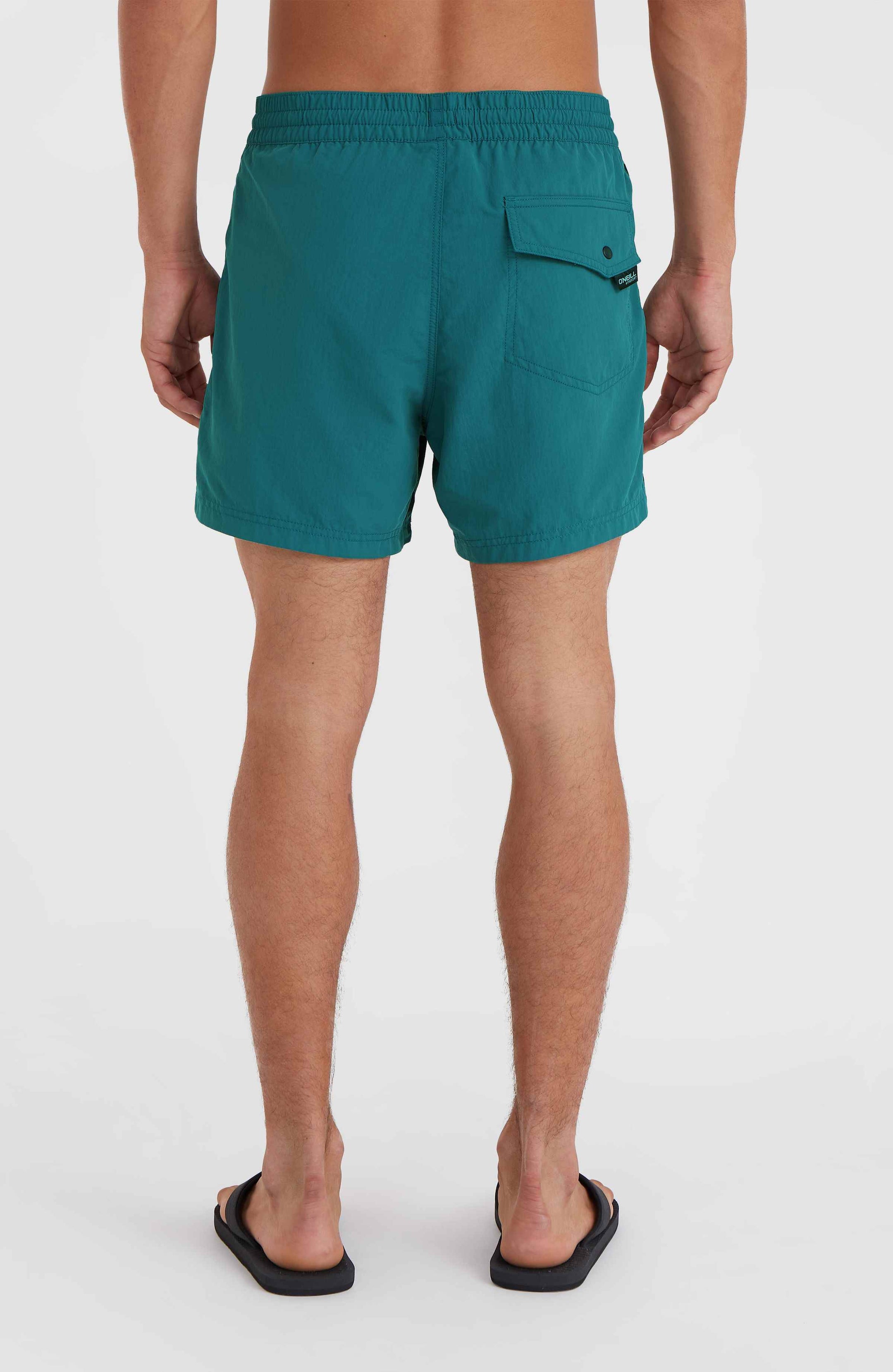 Jack O'Neill Vert Retro 14'' Swim Shorts - Beetle Juice