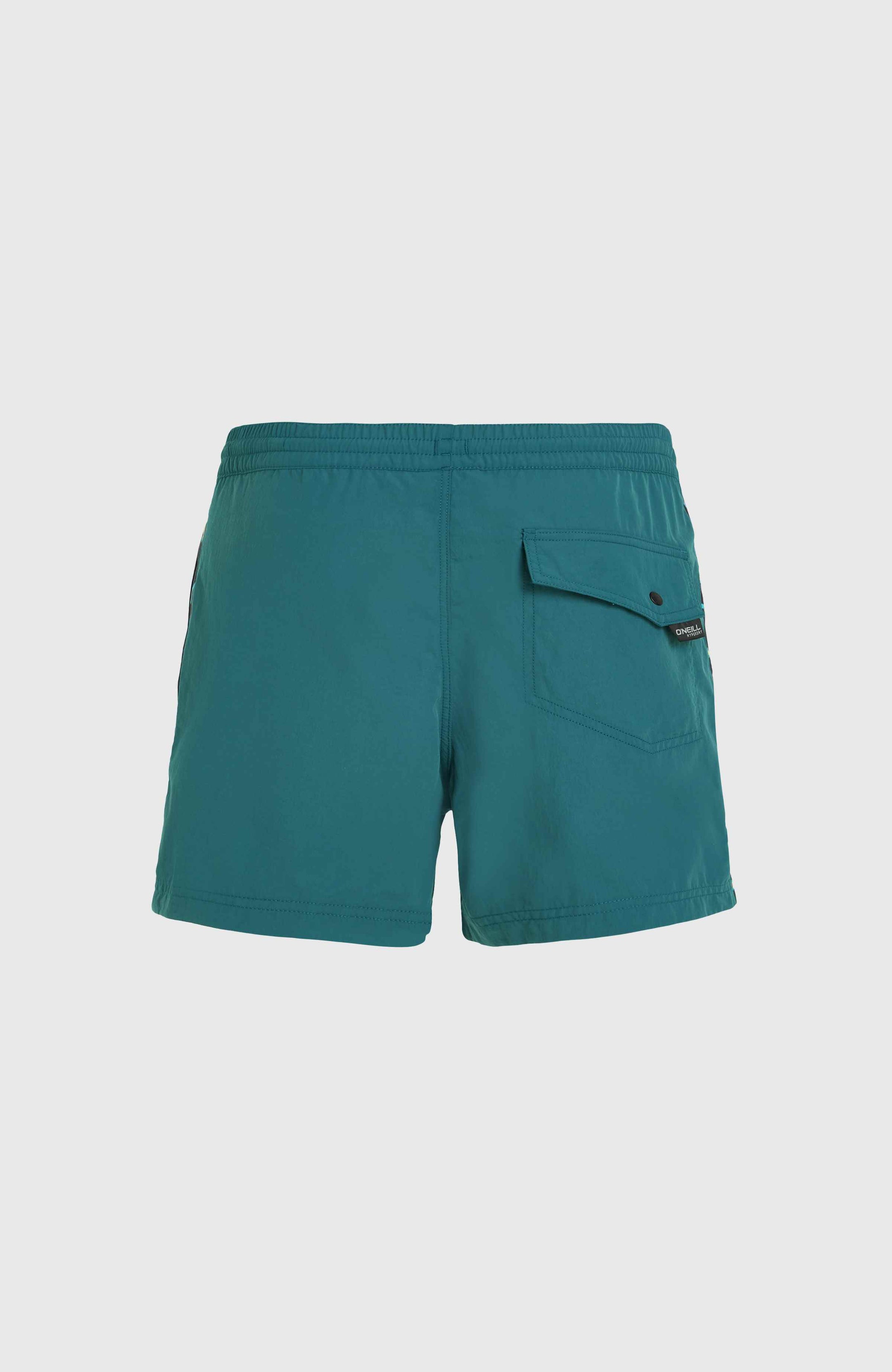 Jack O'Neill Vert Retro 14'' Swim Shorts - Beetle Juice