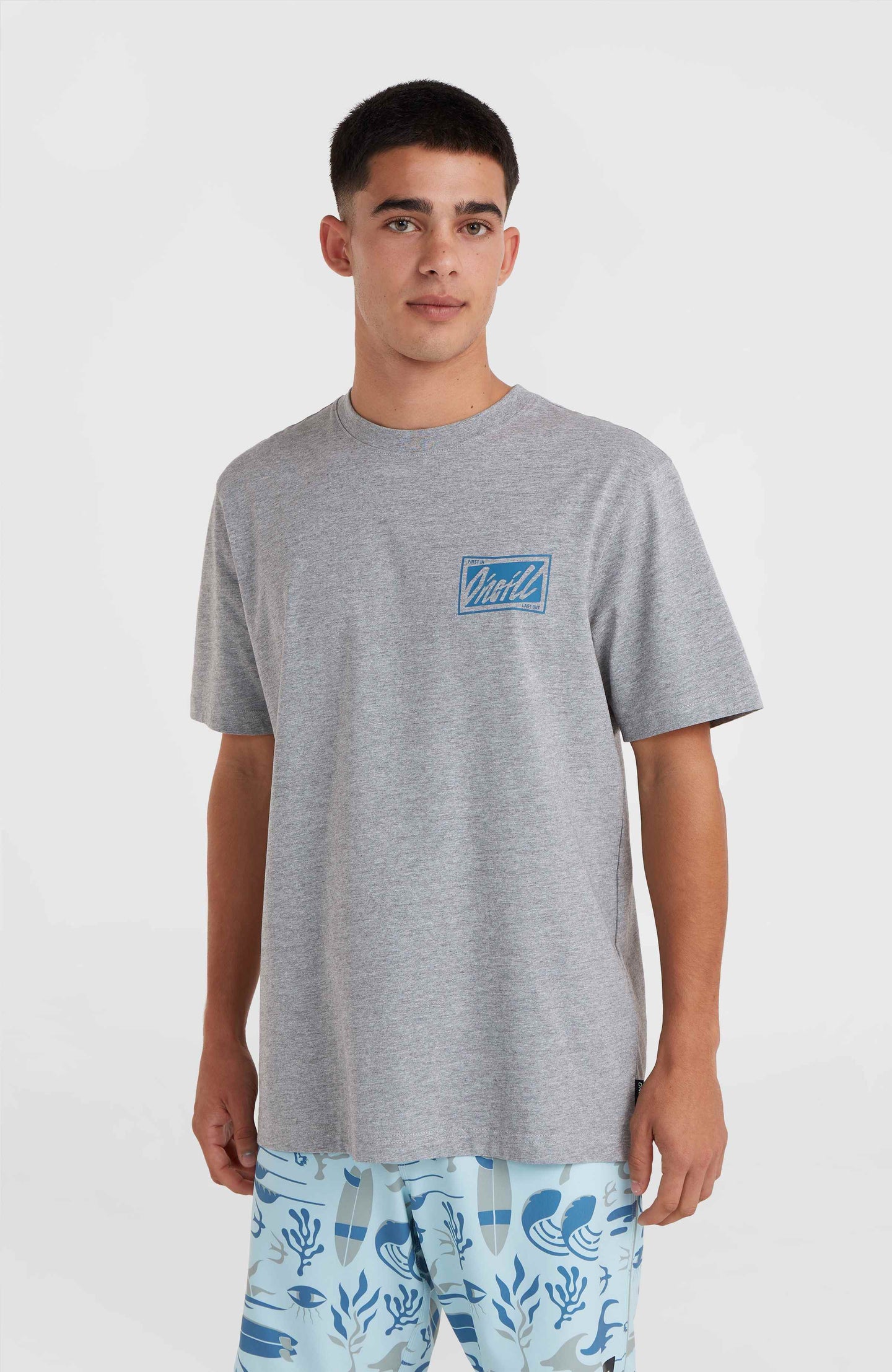 O'Neill Beach Graphic T-Shirt - Silver Melee