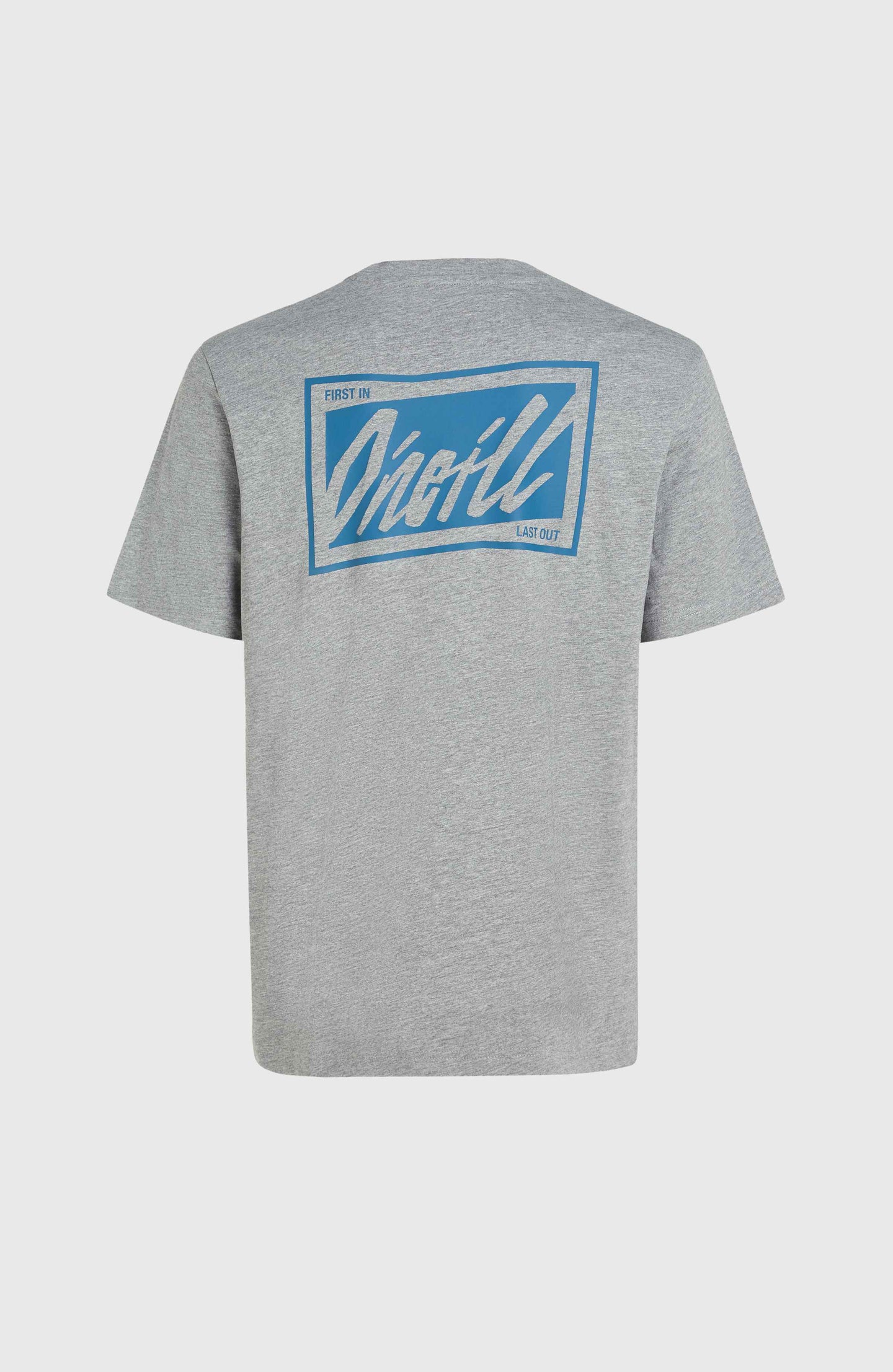 O'Neill Beach Graphic T-Shirt - Silver Melee