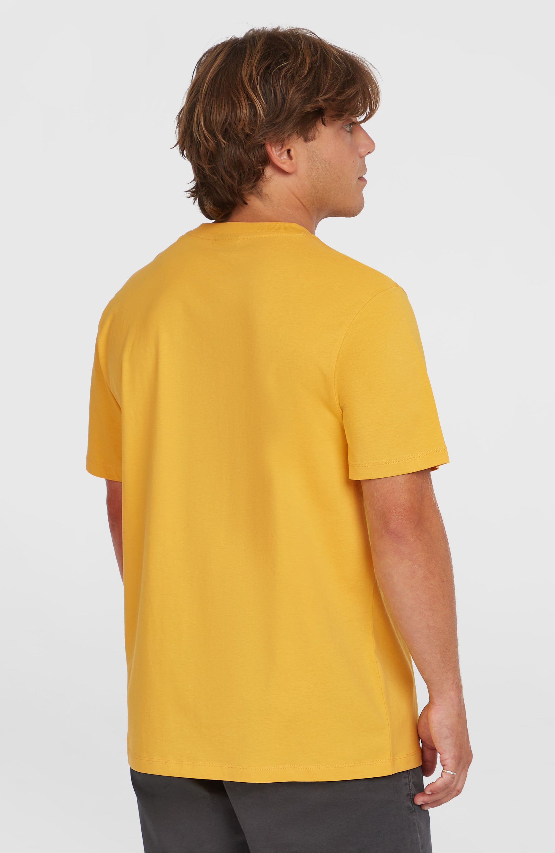 O'Neill Small Logo T-Shirt - Golden Haze