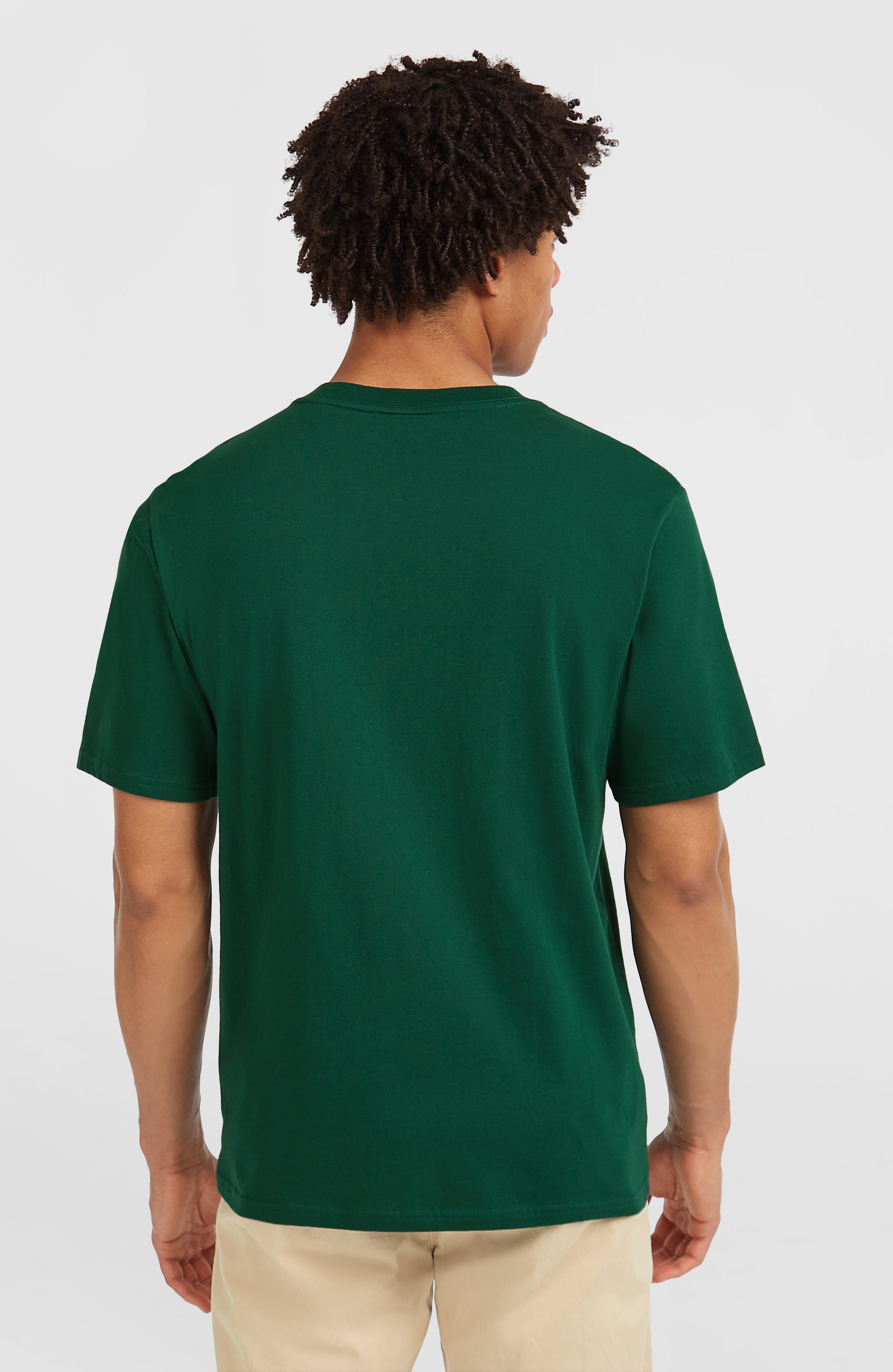 O'Neill Muir T-Shirt - Emerald Envy