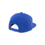 ION Cap ION Ionic