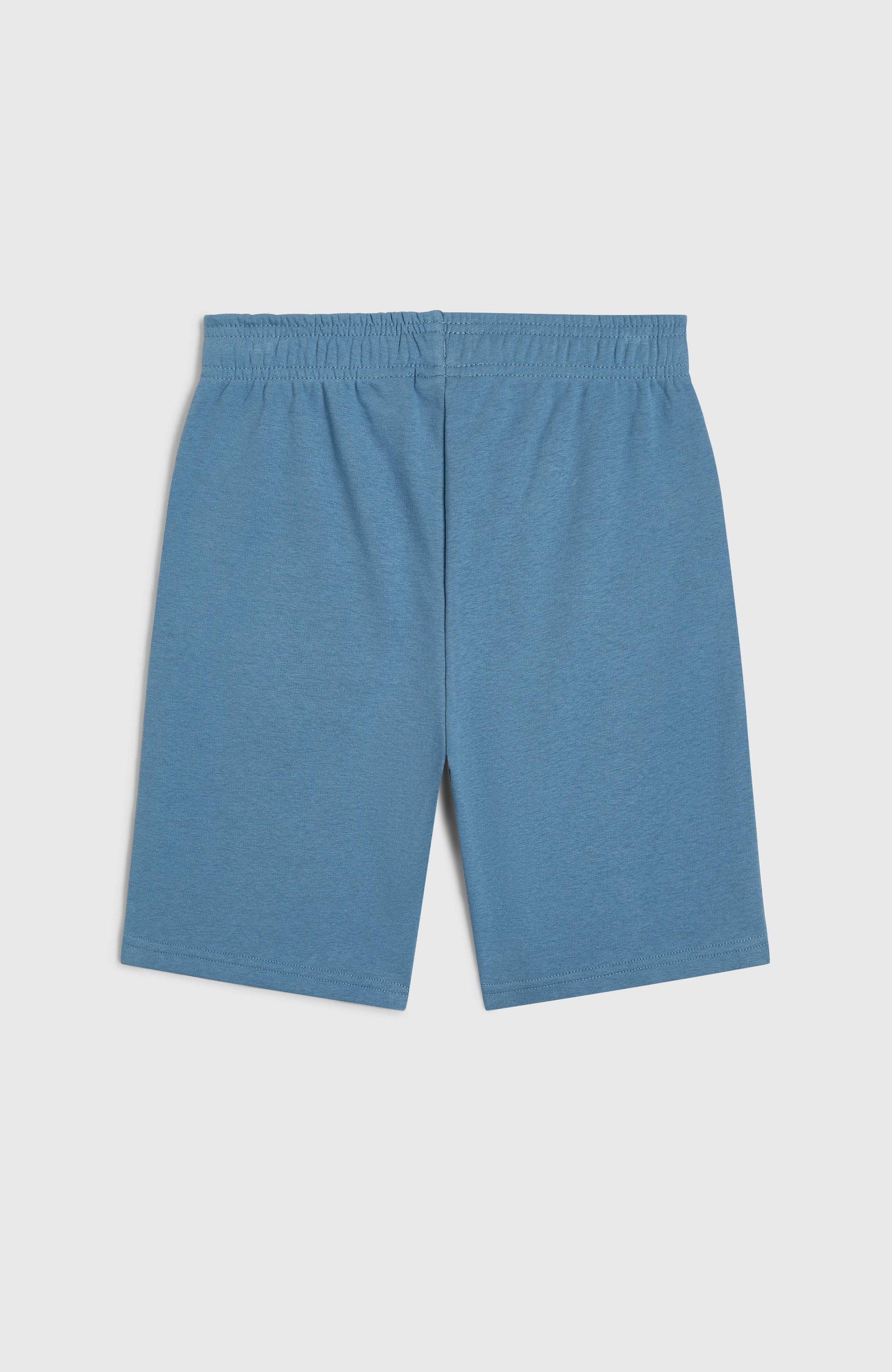 O'Neill Logo Sweatshorts - Copen Blue