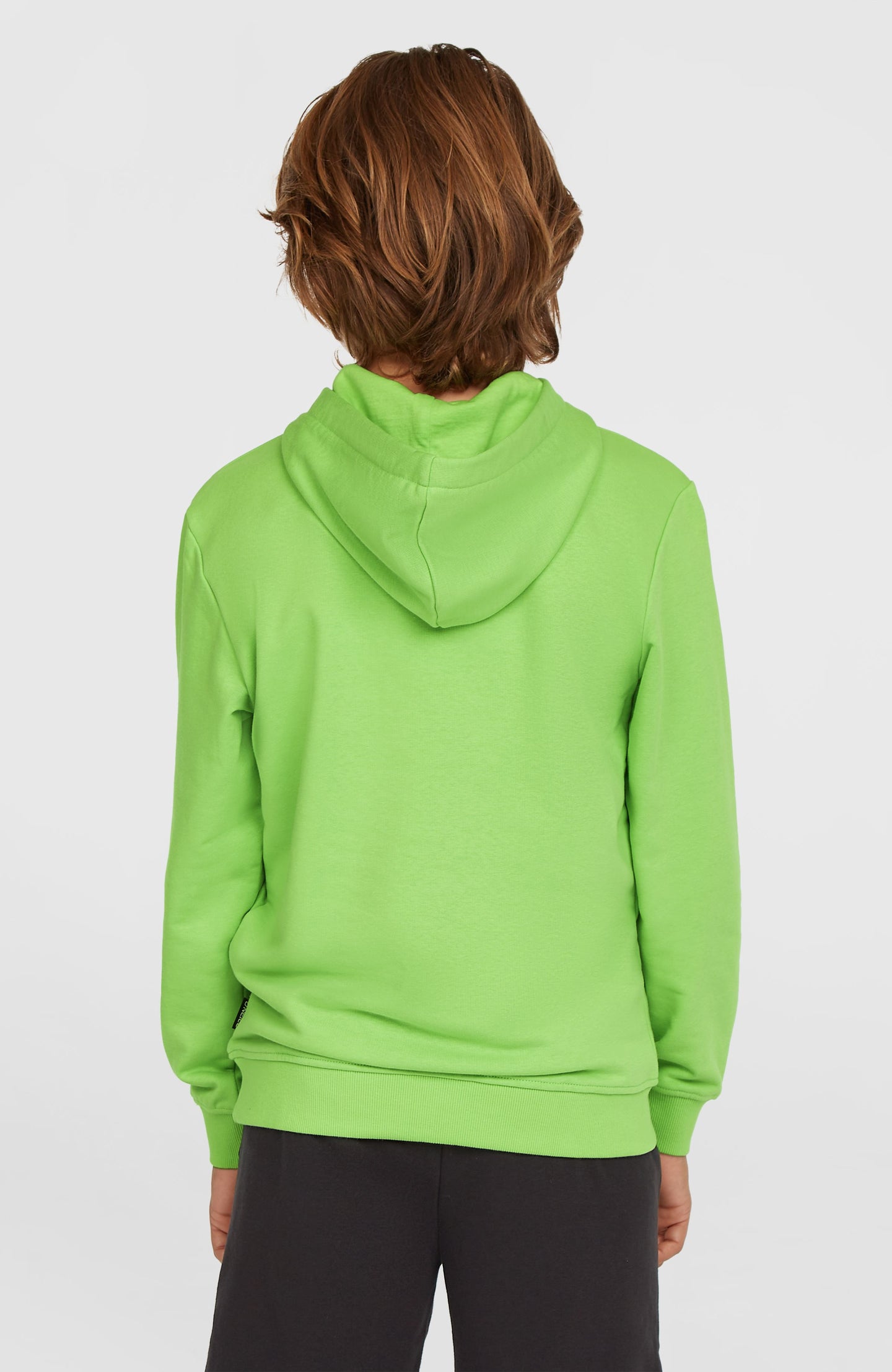 O'Neill Logo Hoodie - Paradise Valley
