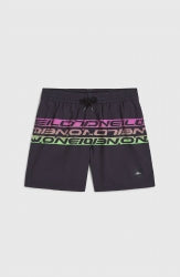 O'Neill Cali Stripe 14" Swimshorts - Black Upside Down