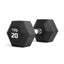 Tiguar HEX dumbbell 20 kg Tiguar