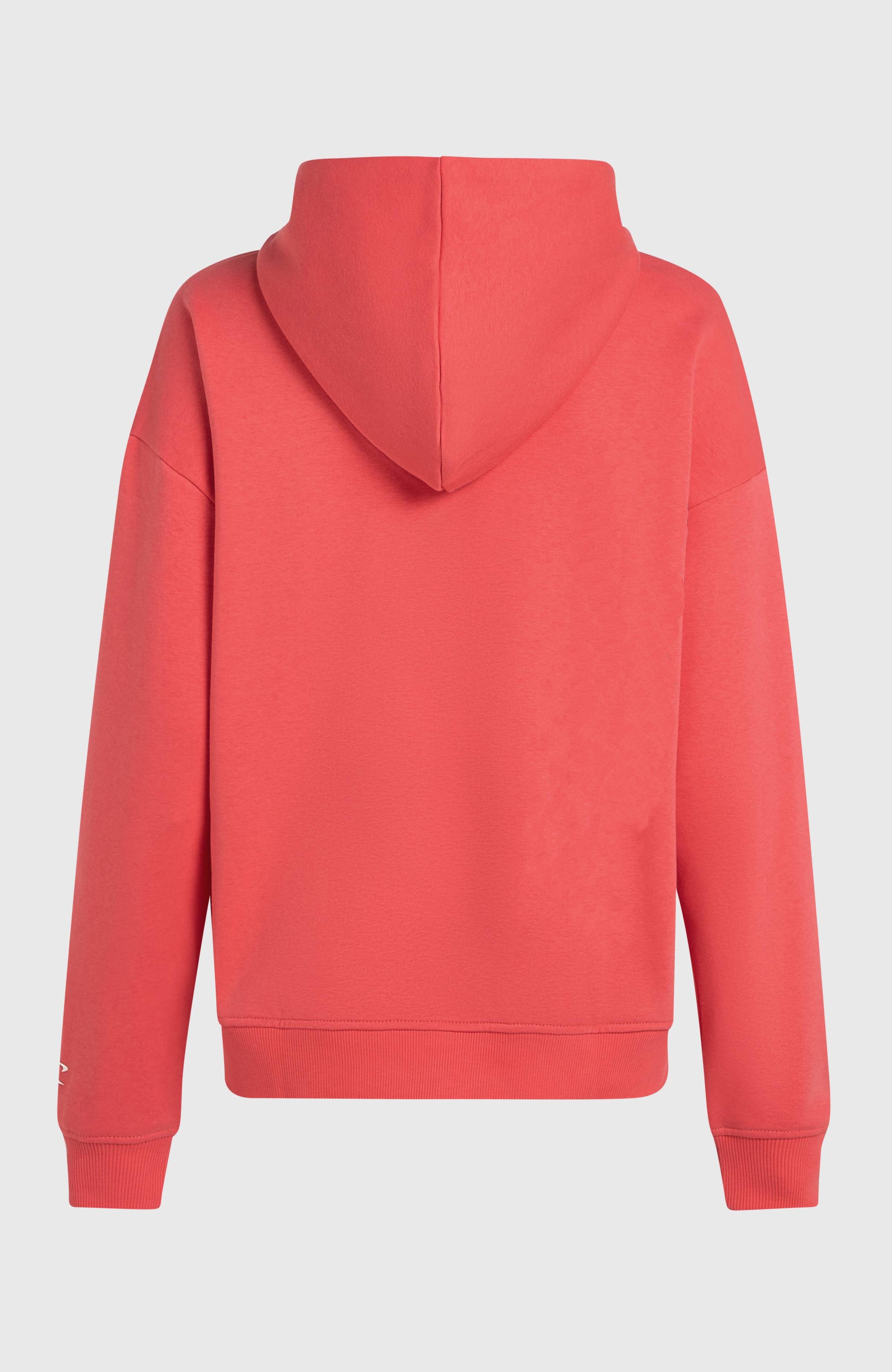 The Future Surf Society Hoodie - Froly