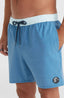 Og Solid Volley 16" Swim Shorts - Copen Blue