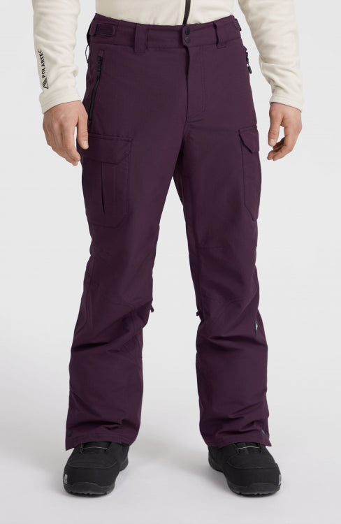 Utility Pro Regular Snow Pants - Aubergine