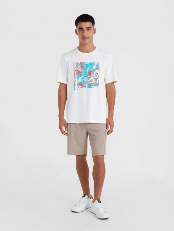 O'Neill Trvlr Series Stretch Shorts - Pumpkin Smoke