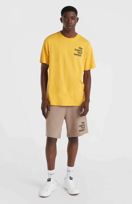 Future Surf Society Shorts - Pumpkin Smoke