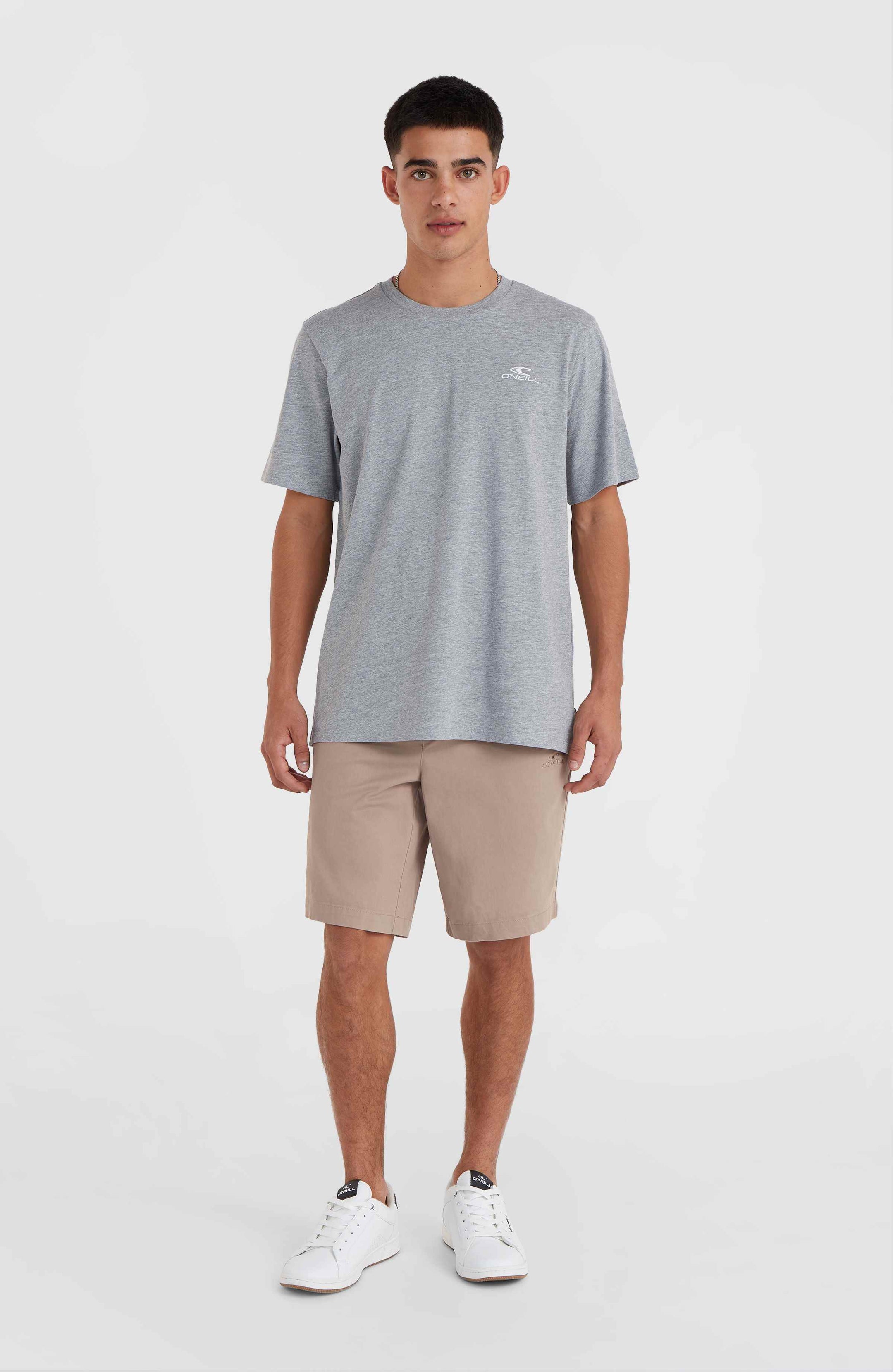 Essentials Chino Shorts - Pumpkin Smoke
