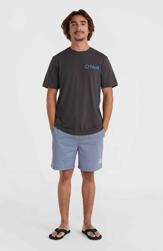 Og Porter Shorts - Copen Blue