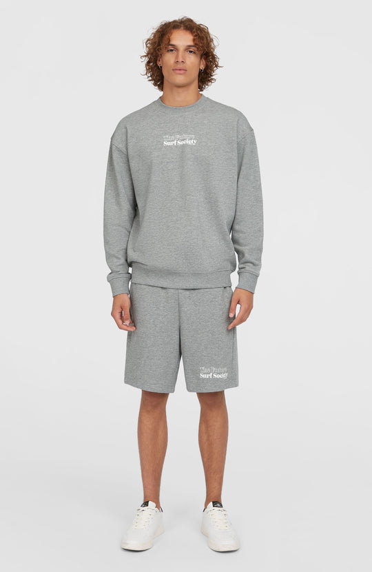 The Future Surf Society Shorts - Silver Melee