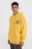 Future Surf Society Hoodie - Golden Haze