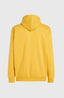 Future Surf Society Hoodie - Golden Haze