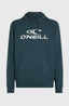 O'Neill Logo Hoodie - Alma Steel