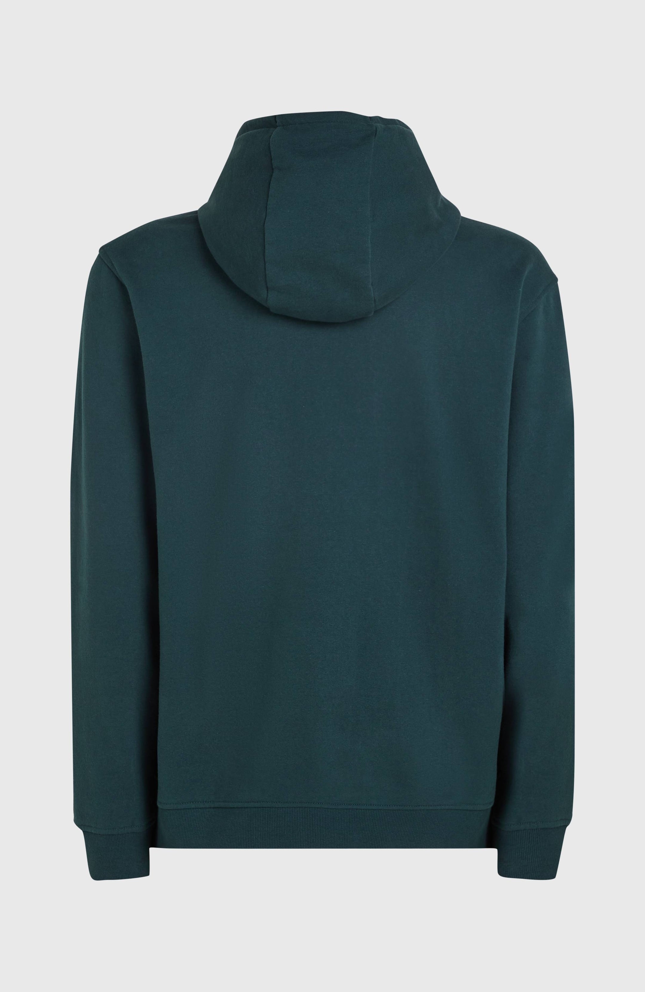 O'Neill Front Print Hoodie - Alma Steel