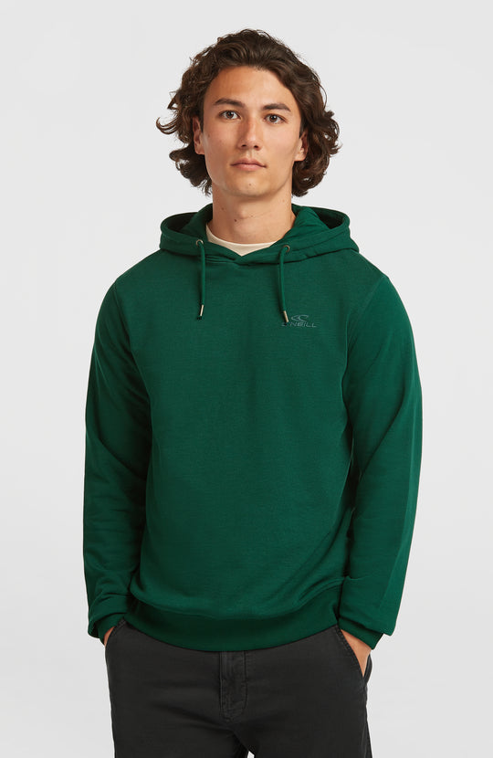 Small Logo Hoodie - Emerald Envy