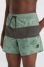 Mix & Match Cali Block 15'' Swim Shorts - Green Vintage Surfer