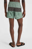 Mix & Match Cali Block 15'' Swim Shorts - Green Vintage Surfer