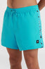 Jack O'Neill Vert Retro 14'' Swim Shorts - Neon Blue