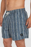 O'Neill Cali Print 15'' Swimshorts - Blue Pressed Lines