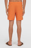 O'Riginals Side Panel 16" Swimshorts - Orange Originals