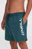 Cali 16'' Swimshorts - Alma Steel