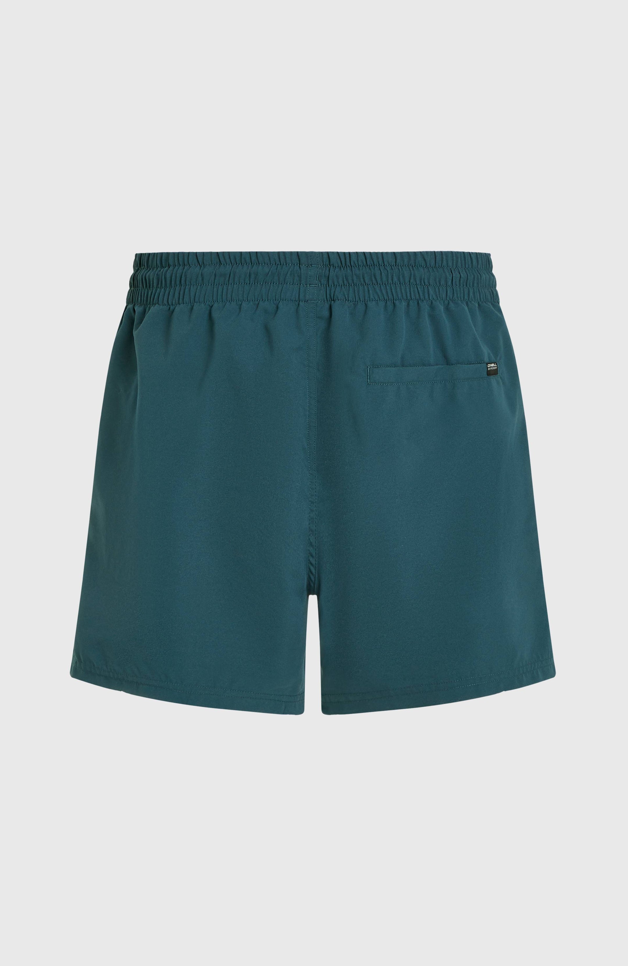 Cali 16'' Swimshorts - Alma Steel