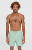 Cali 16'' Swimshorts - Mildrew Mint