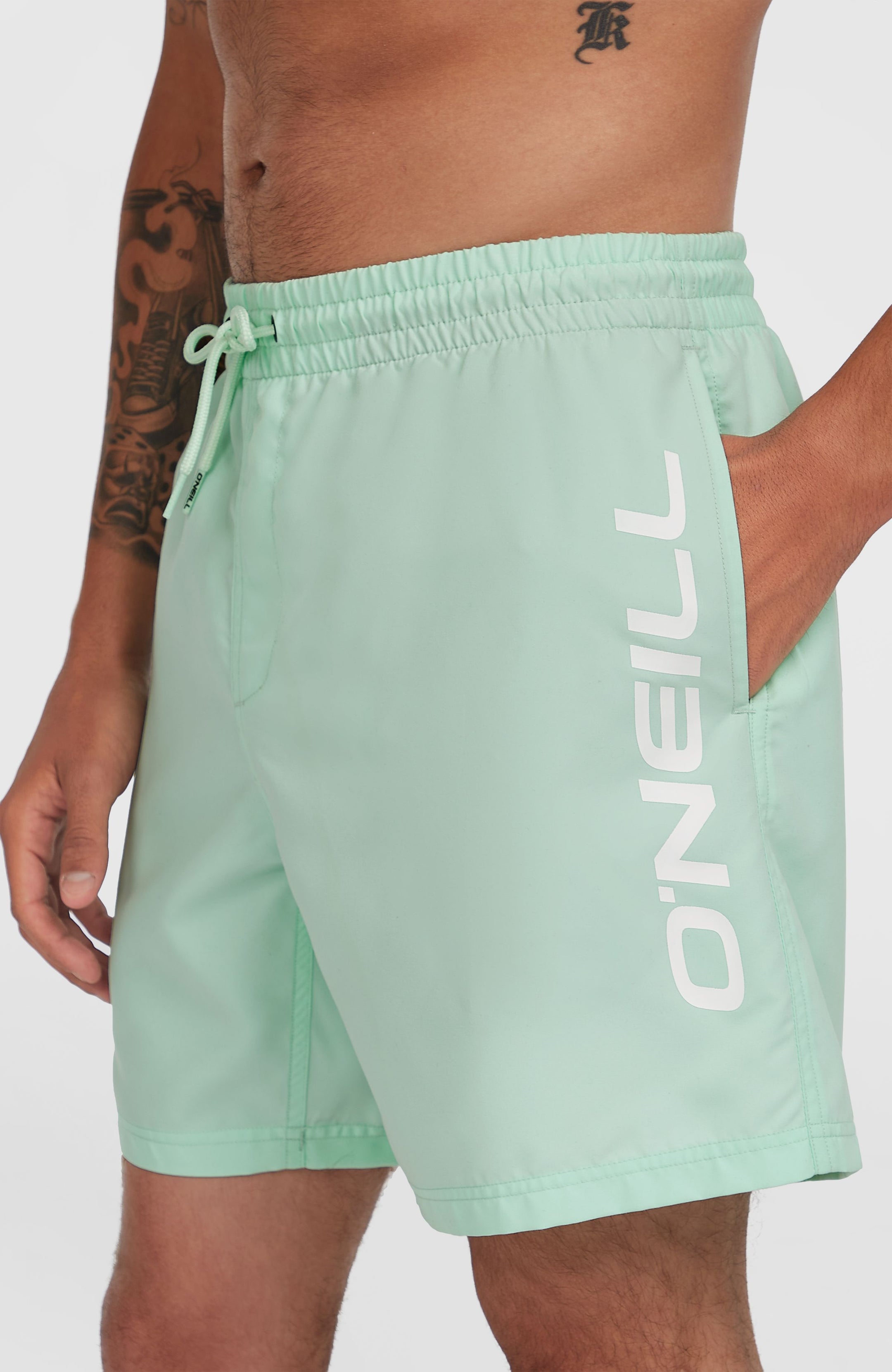 Cali 16'' Swimshorts - Mildrew Mint