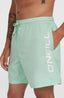 Cali 16'' Swimshorts - Mildrew Mint