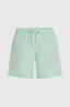 Cali 16'' Swimshorts - Mildrew Mint