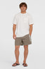 Cali 16'' Swimshorts - Pure Cashmere
