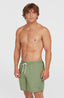 O'Neill Vert 16'' Swimshorts - Avery Fern