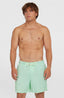 O'Neill Vert 16'' Swimshorts - Mildrew Mint