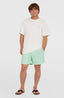 O'Neill Vert 16'' Swimshorts - Mildrew Mint