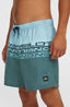 O'Neill Cali Stripe 16'' Swimshorts - Blue Upside Down