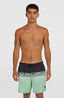 O'Neill Cali Stripe 16'' Swimshorts - Green/Black Upside Down Clean
