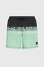 O'Neill Cali Stripe 16'' Swimshorts - Green/Black Upside Down Clean