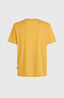 O’Neill Hybrid Logo Polygiene T-Shirt - Golden Haze