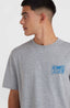O'Neill Beach Graphic T-Shirt - Silver Melee