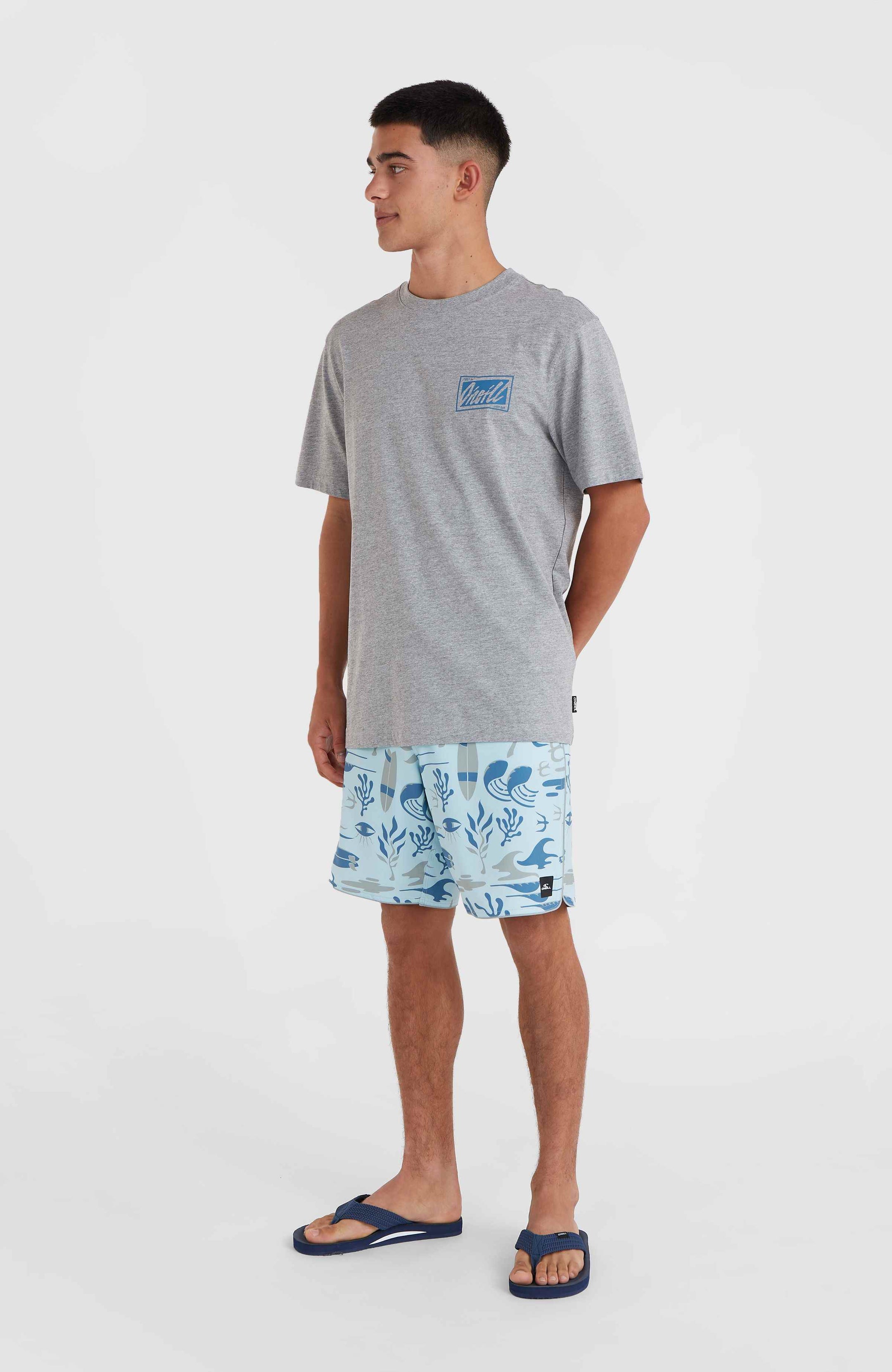O'Neill Beach Graphic T-Shirt - Silver Melee