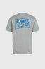 O'Neill Beach Graphic T-Shirt - Silver Melee