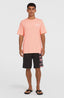O'Neill Box Logo T-Shirt - Coral Pop