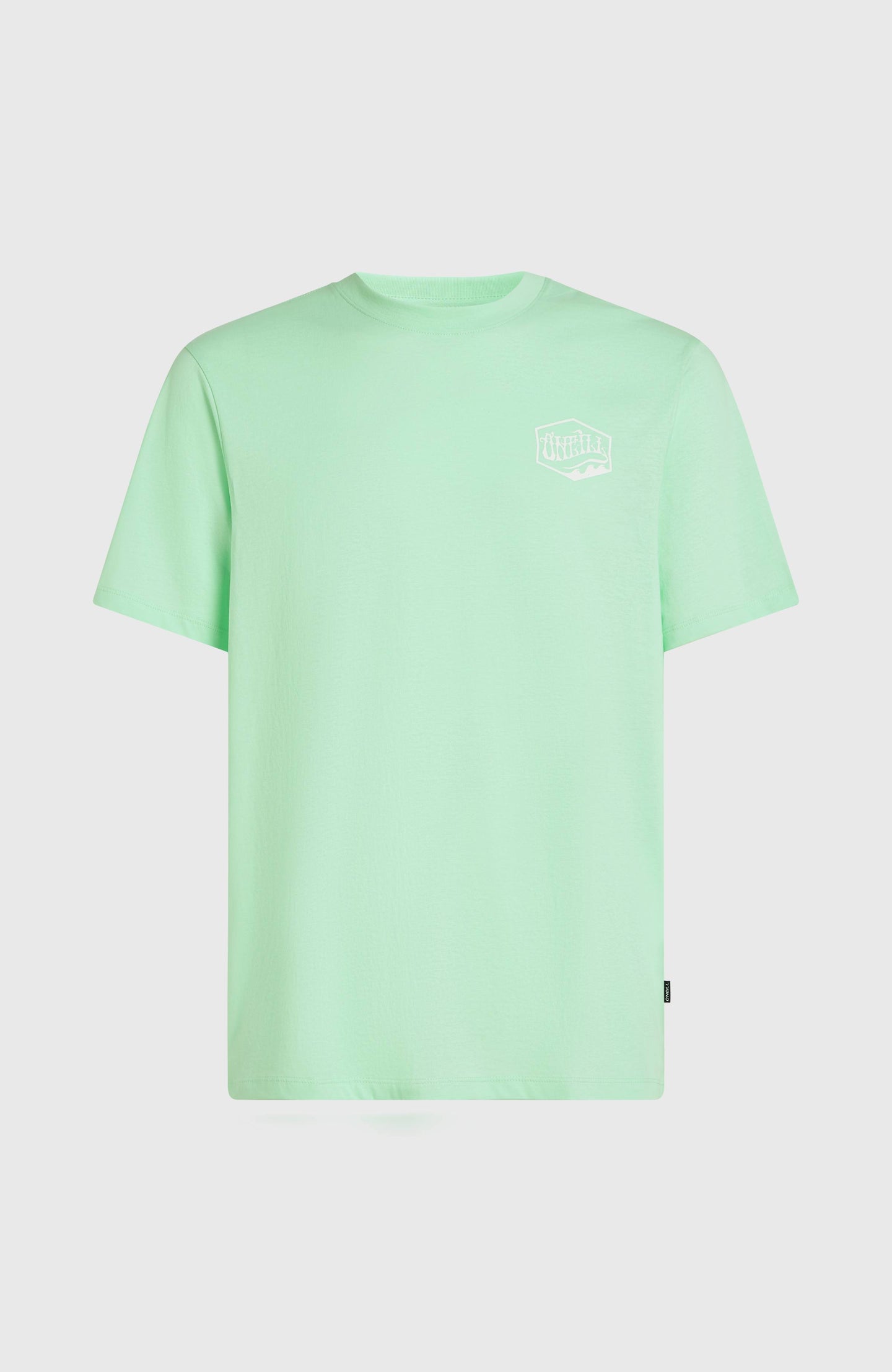 O'Neill Box Logo T-Shirt - Mildrew Mint