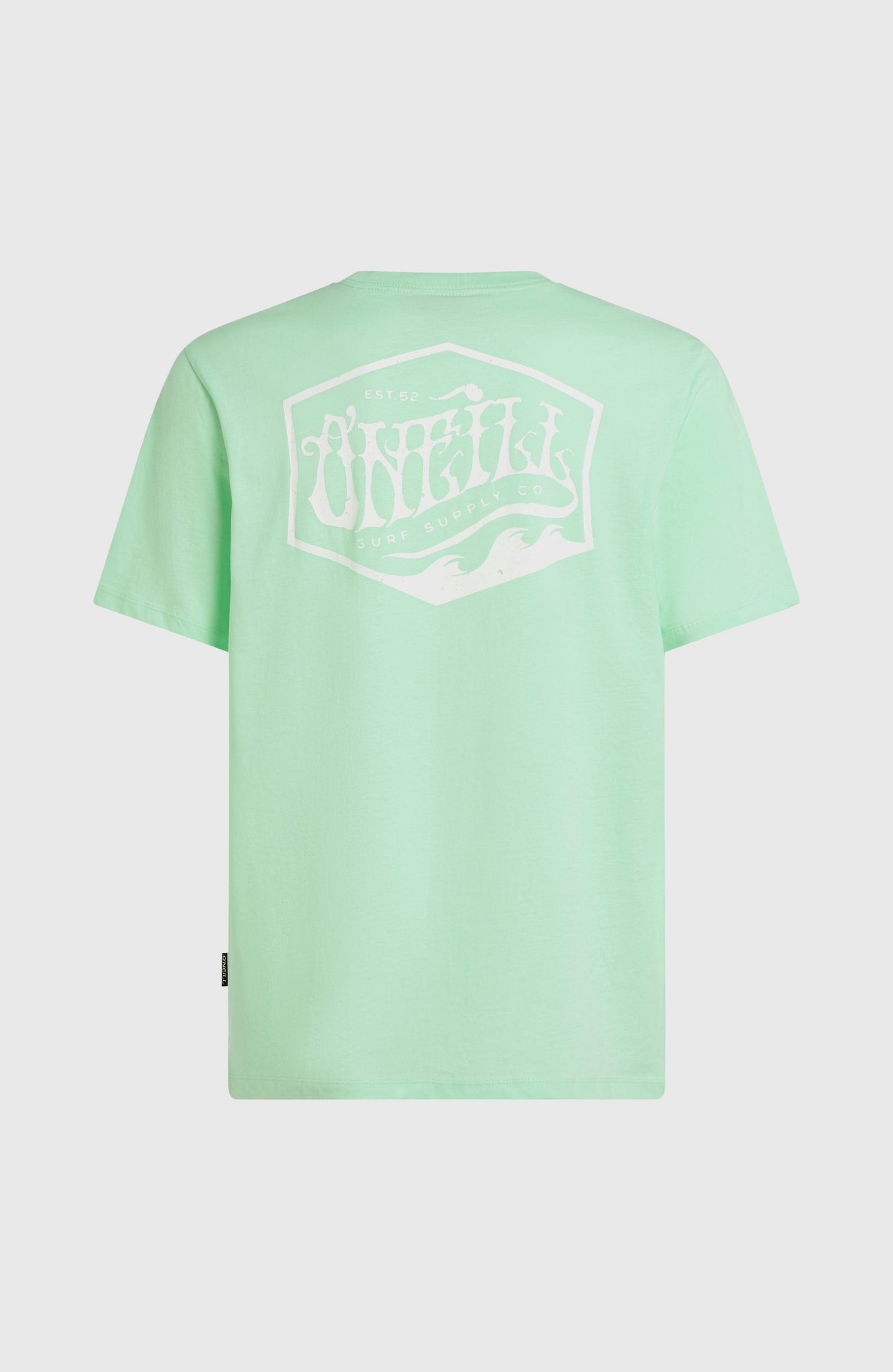 O'Neill Box Logo T-Shirt - Mildrew Mint